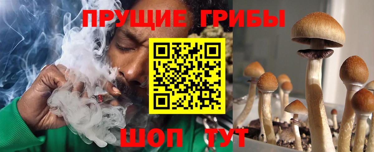 Галлюциногенные грибы Cubensis  Вход с VPN  Псков 